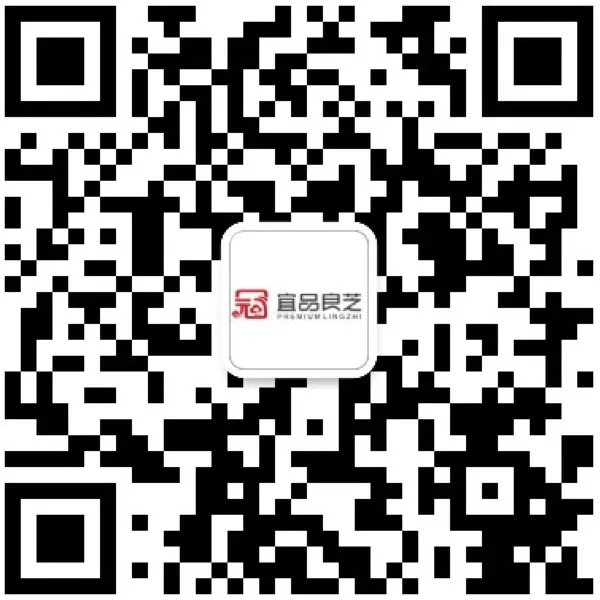 公众号