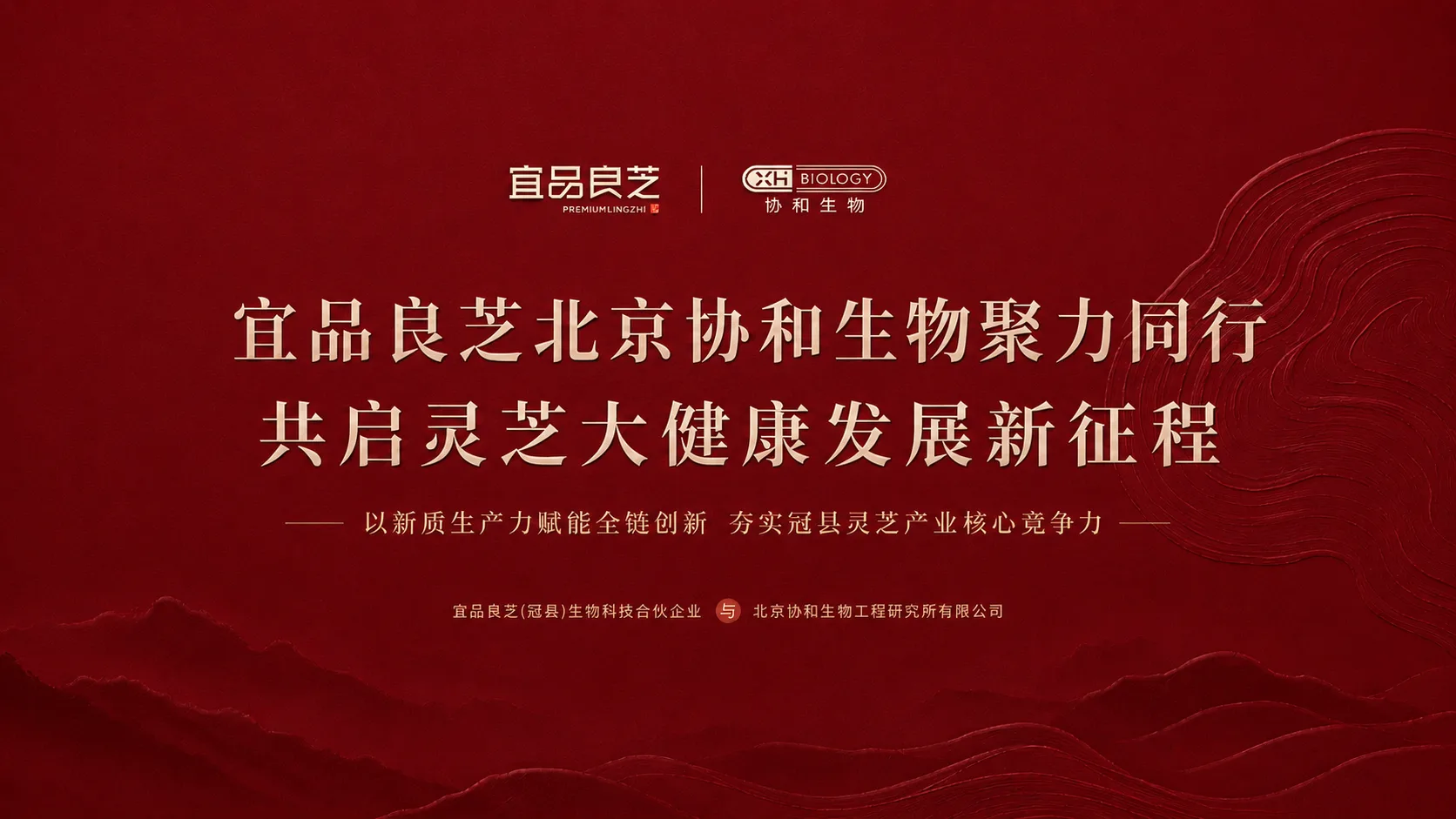 品牌代理与渠道经销